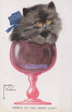 Cat in a pink glass with a blue bow, labeled 'Miss Postcards'.