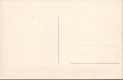 Norway Postcard - Osebergskibet Fra 800 Aerne    SW17455