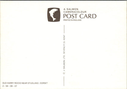 Dorset Postcard - Old Harry Rocks Near Studland  SX343