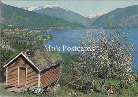 Norway Postcard - Sogn, Balestrand Towards Fjaerlandsfjord  SX425
