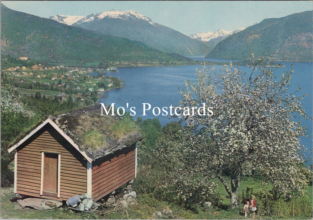 Norway Postcard - Sogn, Balestrand Towards Fjaerlandsfjord  SX425