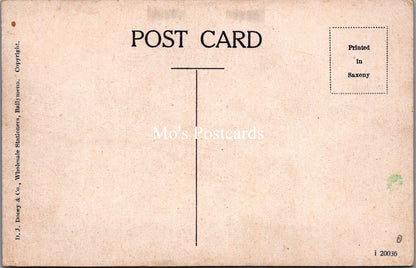 Northern Ireland Postcard - Tea House, Glenariffe  SW17963