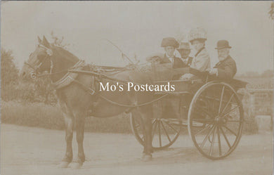 Animals Postcard - Horse and Carriage. Family Outing  SW17966