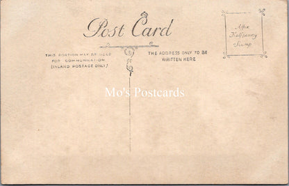 Animals Postcard - Horse and Carriage. Family Outing  SW17966