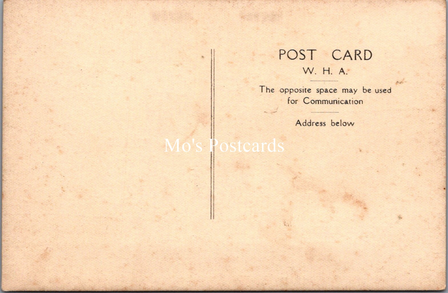 Surrey Postcard - The Brig, Virginia Water   SW18331
