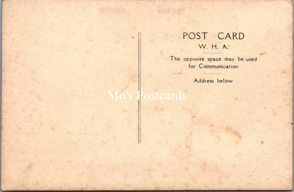 Surrey Postcard - The Brig, Virginia Water   SW18331