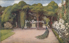 Load image into Gallery viewer, Nature Postcard - Entrance in The Garden, Ayscough Fee Hall  SW18344
