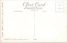 Load image into Gallery viewer, Nature Postcard - Entrance in The Garden, Ayscough Fee Hall  SW18344
