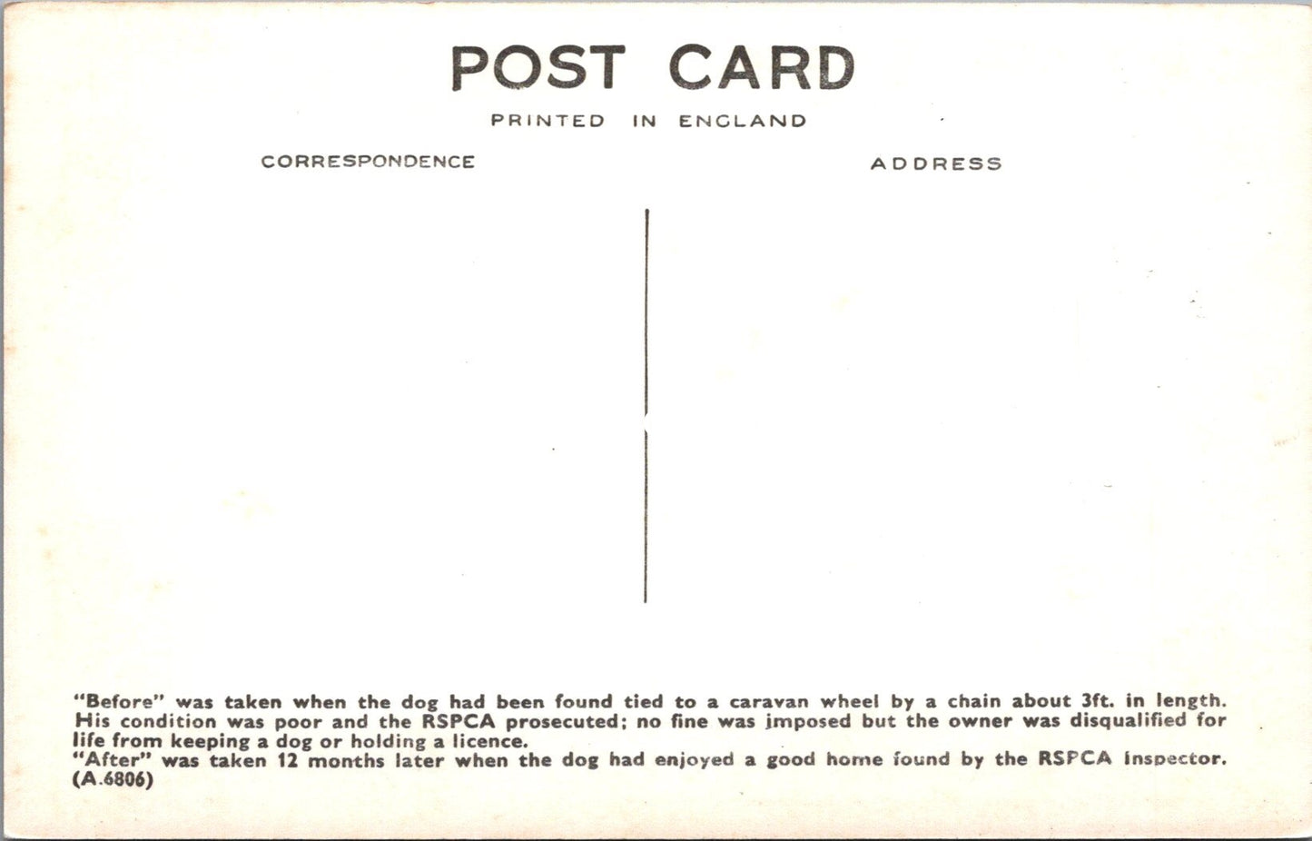 Animal Welfare Postcard - Dog Rescue, RSPCA Work  SW18350