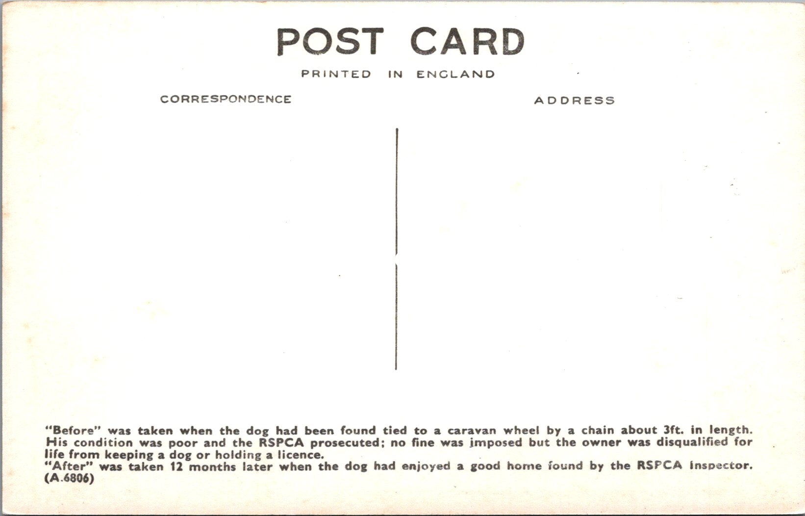 Animal Welfare Postcard - Dog Rescue, RSPCA Work  SW18350