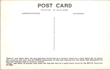 Load image into Gallery viewer, Animal Welfare Postcard - Dog Rescue, RSPCA Work  SW18350
