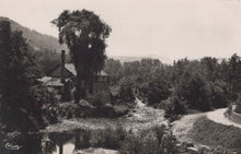 Load image into Gallery viewer, Vintage black and white photograph of a rural landscape with a building, trees, and a path.
