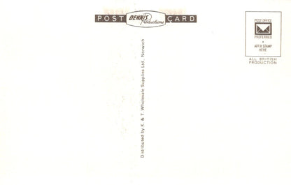 Norfolk Postcard - Norwich, The Castle and Entrance  SW18650