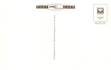 Load image into Gallery viewer, Norfolk Postcard - Norwich, The Castle and Entrance  SW18650
