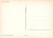 Load image into Gallery viewer, Vintage postcard with text and a photo credit on a light pink background
