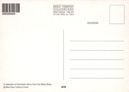 Back of a postcard with text and barcode, featuring 'Beric Tempest Colourcard' and 'Mary Rose Tracing Limited'.