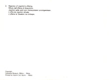 Load image into Gallery viewer, Text document with multiple language translations on a white background
