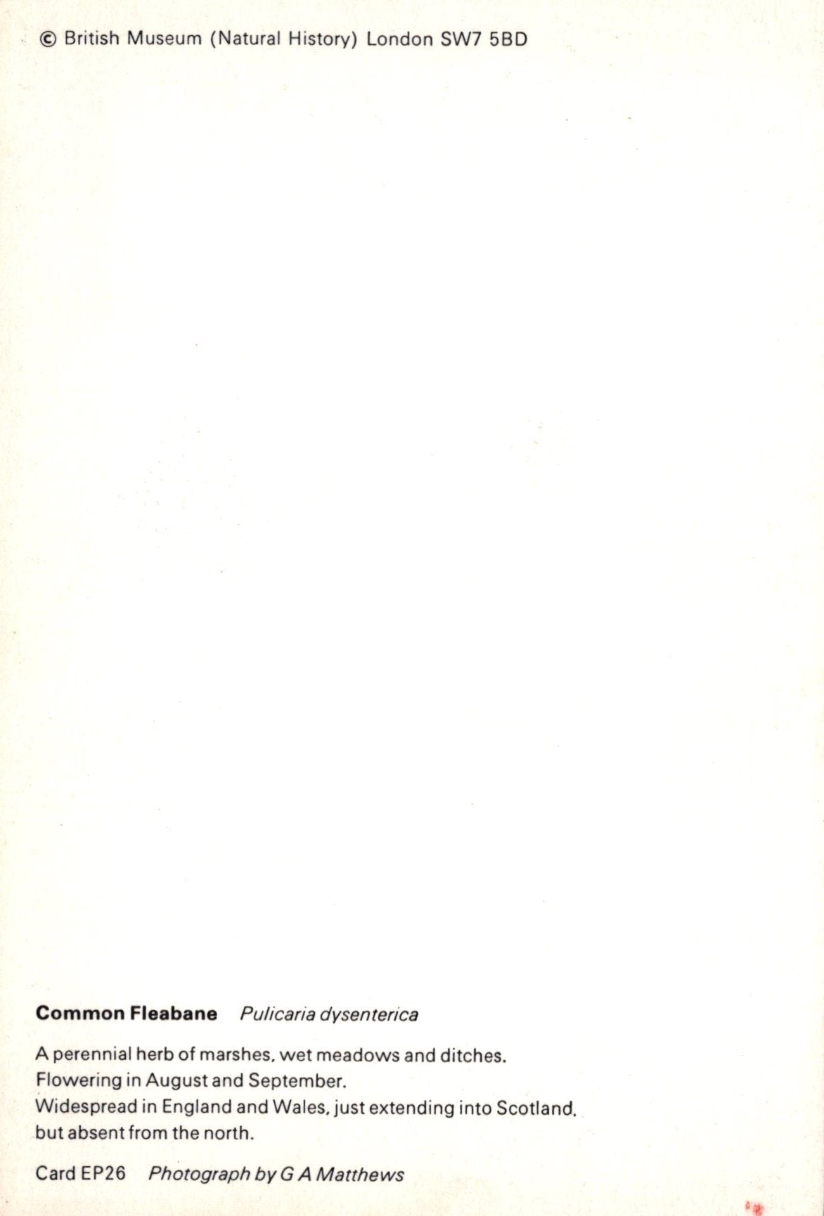 Text on a white background with 'British Museum (Natural History)' information.
