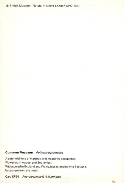 Text on a white background with 'British Museum (Natural History)' information.