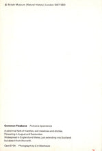 Load image into Gallery viewer, Text on a white background with &#39;British Museum (Natural History)&#39; information.
