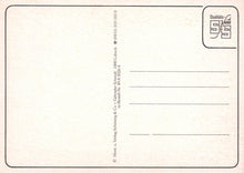 Load image into Gallery viewer, Toys Postcard - Teddy Bears in a Bathtub Boat  SW20305
