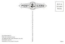 Load image into Gallery viewer, Essex Postcard - Peter Pan&#39;s Adventure Island, Southend-on-Sea SW20311
