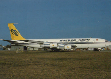 Airplane with 'Golden Horn' branding on a grassy field