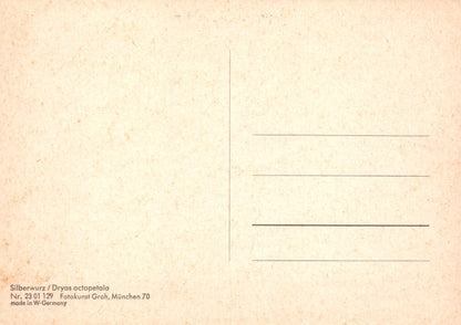 Vintage-style postcard with text and a grid on a beige background