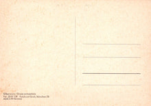 Load image into Gallery viewer, Vintage-style postcard with text and a grid on a beige background
