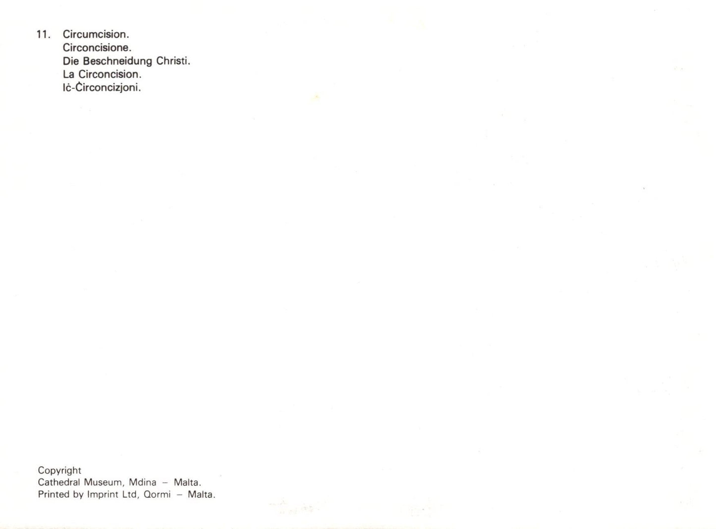 Text document with circumcision-related terms on a white background