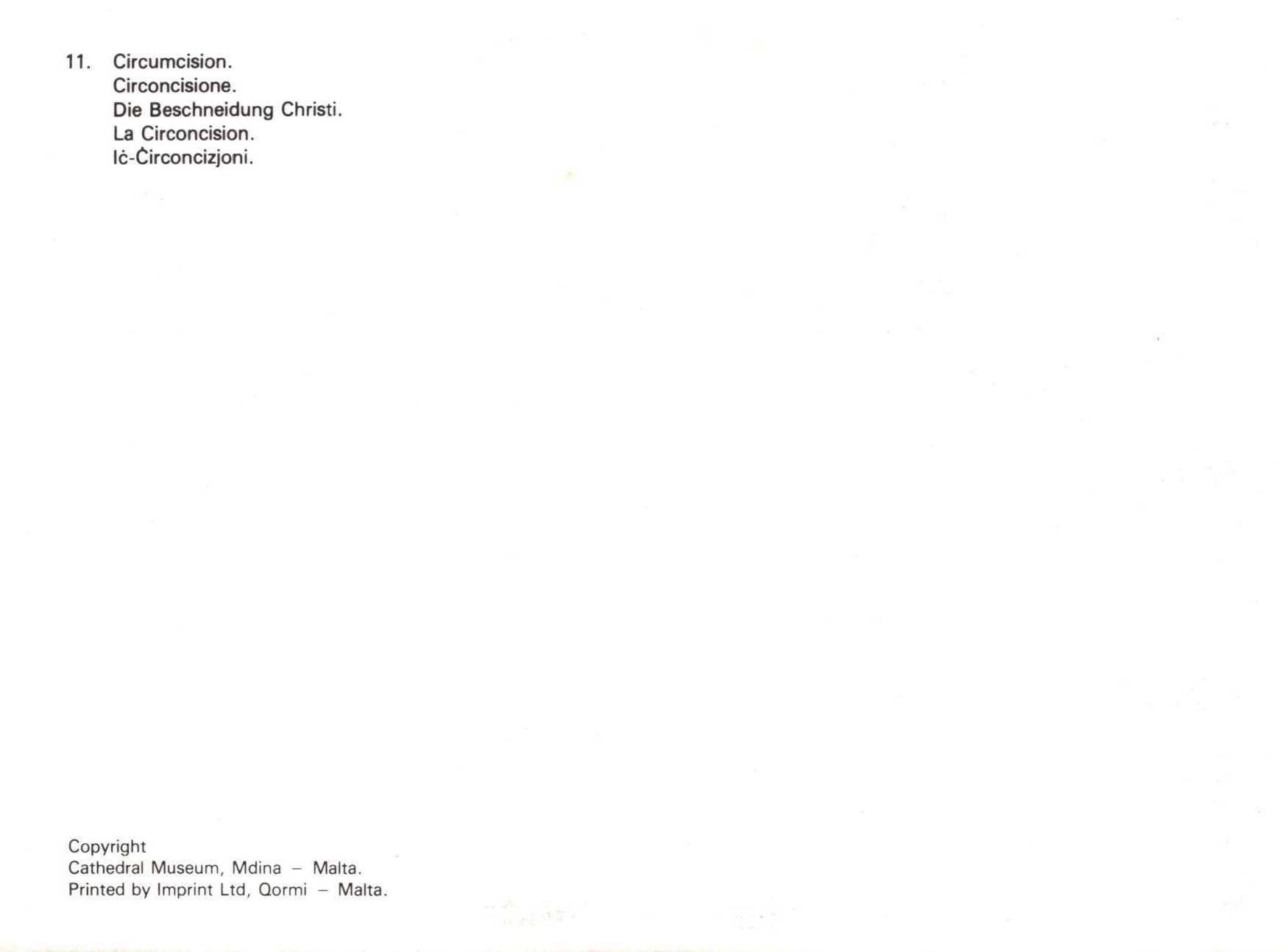 Text document with circumcision-related terms on a white background