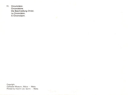 Text document with circumcision-related terms on a white background