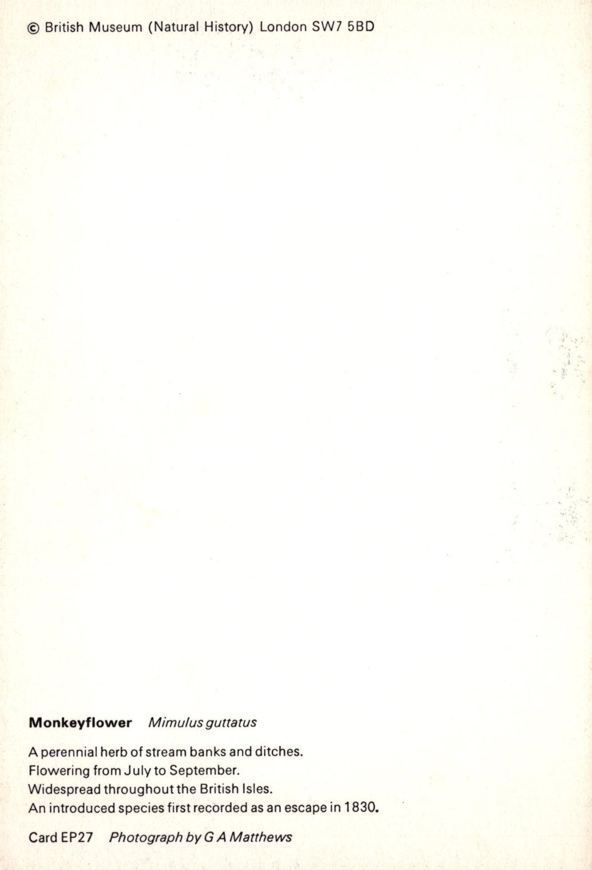 Text on a white background with 'British Museum (Natural History)' information.
