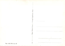 Load image into Gallery viewer, Vintage postcard with text on a white background
