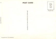 Load image into Gallery viewer, Back of a postcard with text and a small stamp area.
