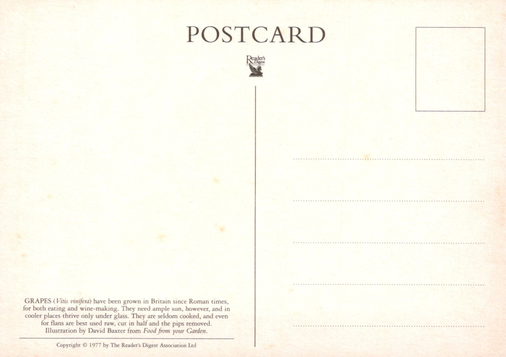 Back of a postcard with text and a logo on a light background