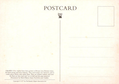 Back of a postcard with text and a logo on a light background