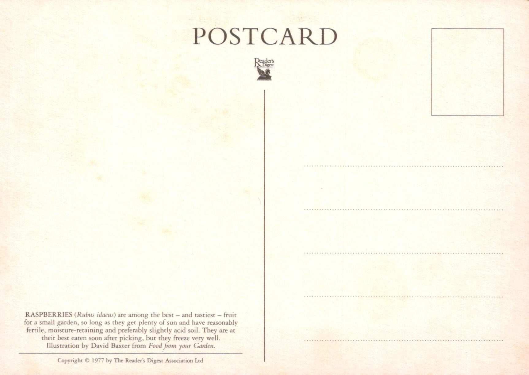 Back of a postcard with text and branding
