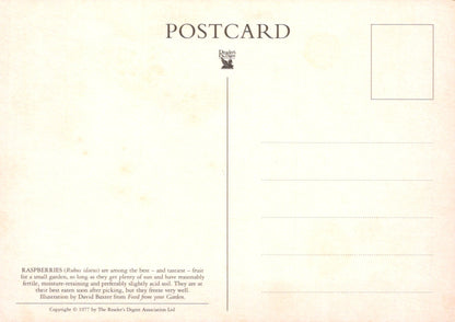 Back of a postcard with text and branding