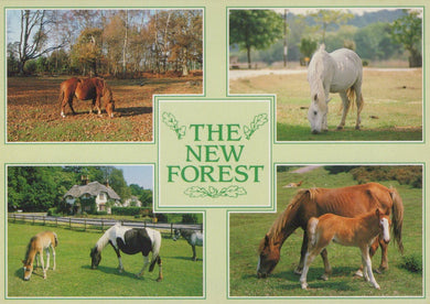 Collage of horses in a New Forest setting with text overlay.
