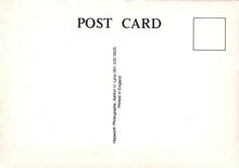 Load image into Gallery viewer, Back of a postcard with &#39;POST CARD&#39; text and a blank area for writing.
