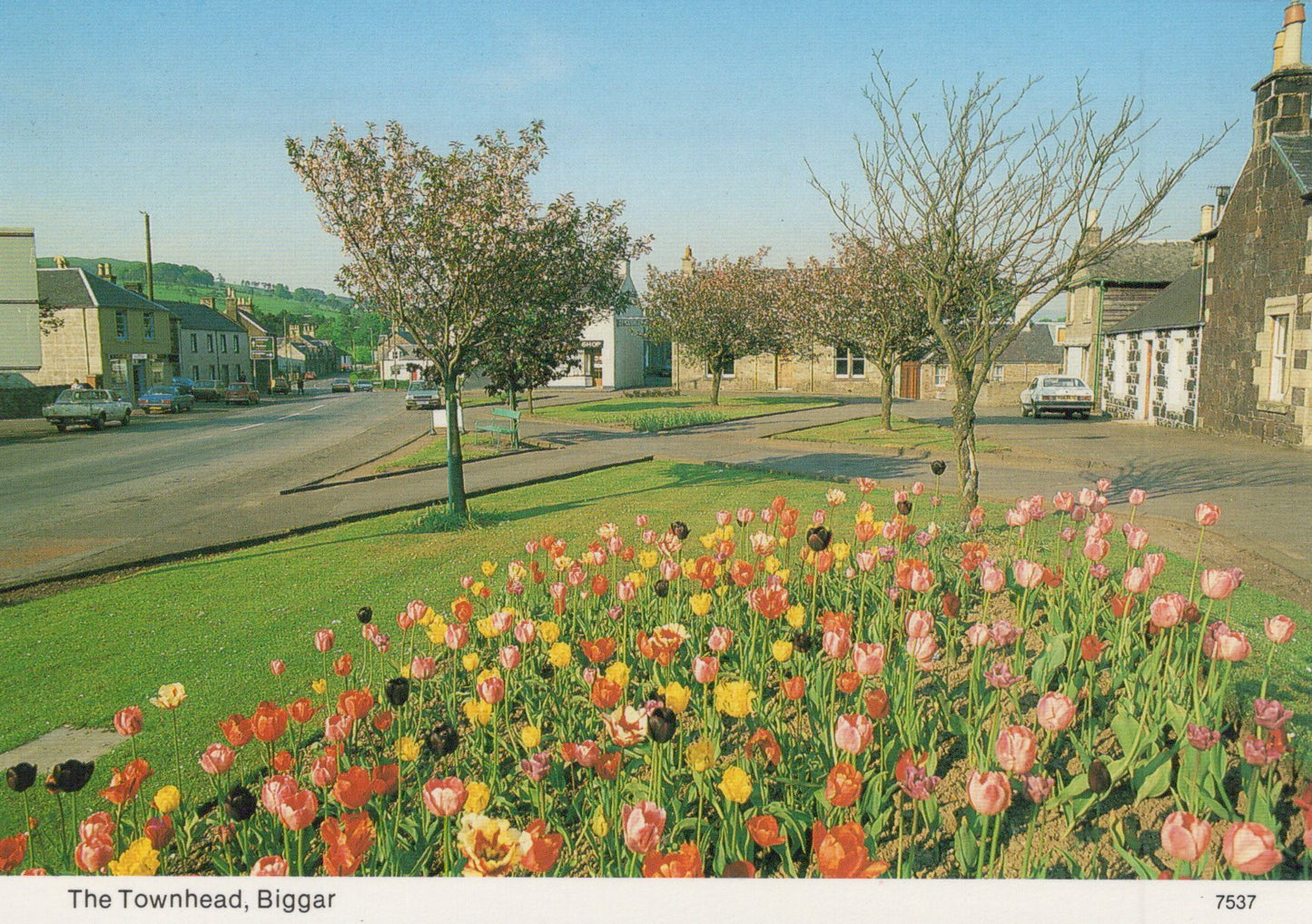 Town street with colorful flowers in the foreground