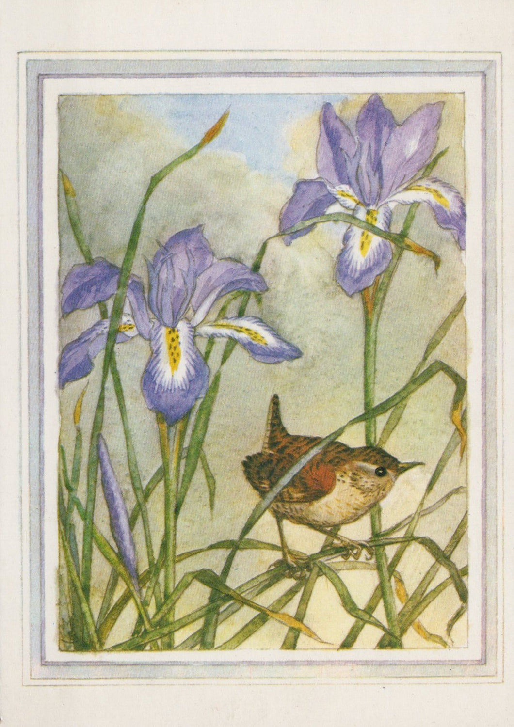 Illustration of a bird perched among purple flowers with a white border
