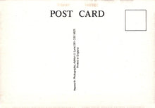 Load image into Gallery viewer, Back of a postcard with &#39;POST CARD&#39; text and a rectangular area for an image.
