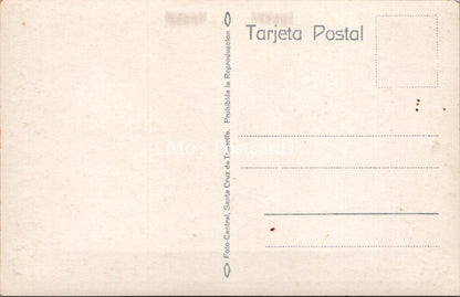 Spain Postcard - Valle Orotava Con El Pico De Teide   SW17492