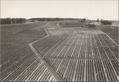 France Postcard - Sauternes, Aerial View of Chateau D'Yquem SW17262