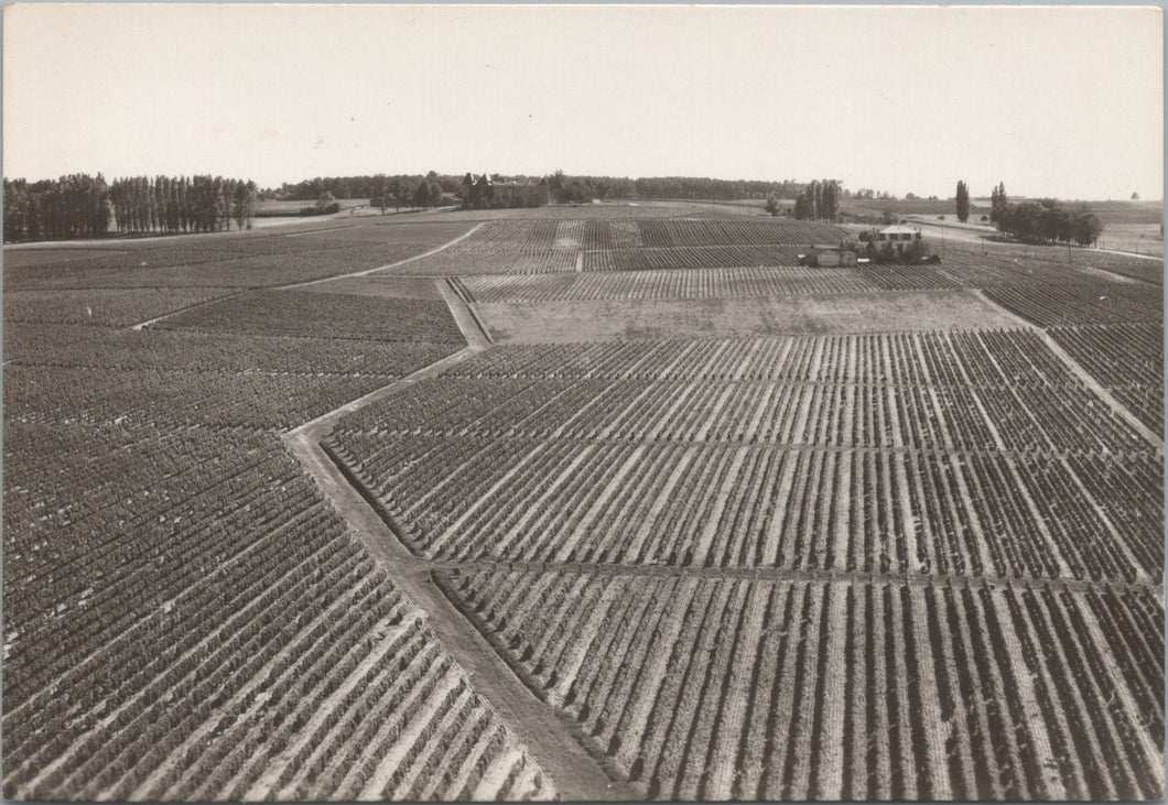 France Postcard - Sauternes, Aerial View of Chateau D'Yquem SW17262