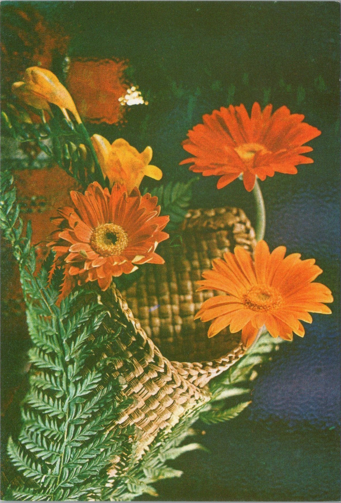 Nature Postcard - Basket of Flowers   SX70