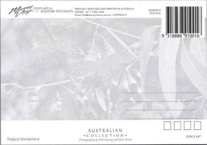 Maps Postcard - Map of Cairns, Queensland, Australia  RR23522