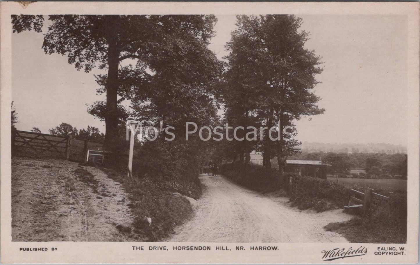 Middlesex Postcard: The Drive Horsendon Hill Near Harrow 1920s RPPC MB758